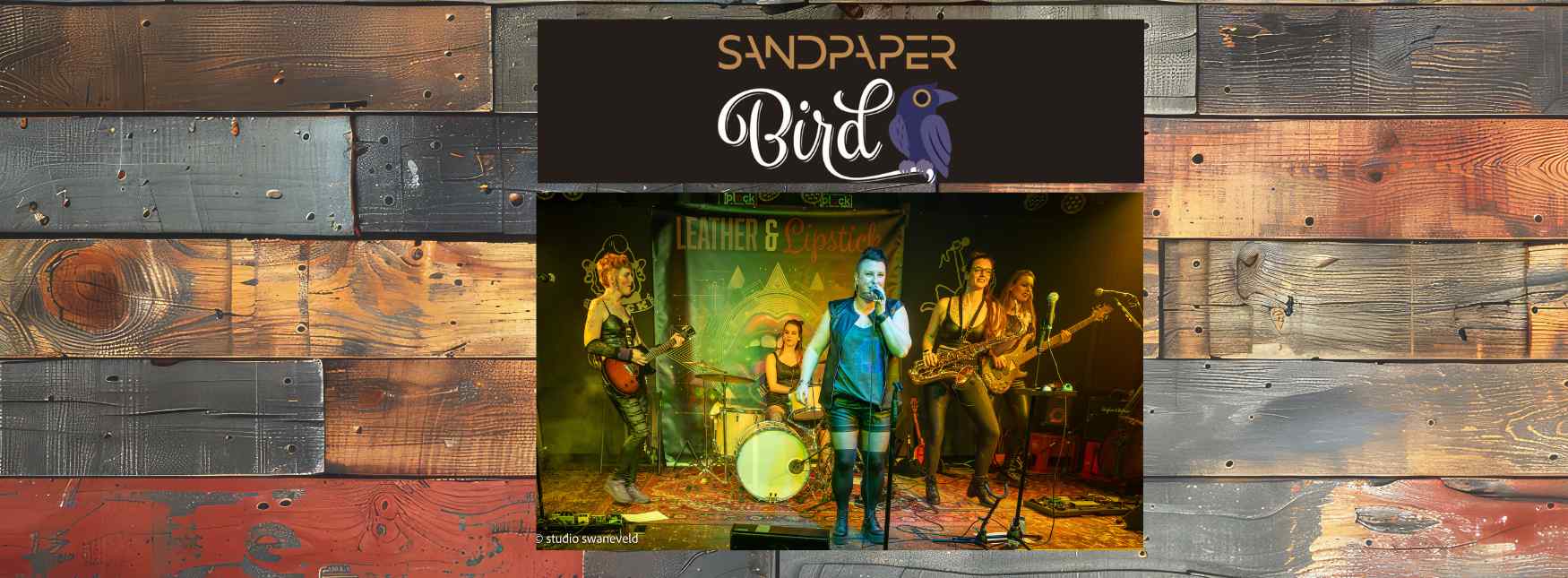 SANDPAPER BIRD